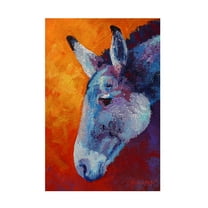 Marion Rose 'Burro IV' Canvas Art