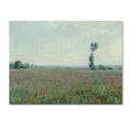 thumbnail image 1 of Monet 'Poppy Field' Canvas Art, 1 of 3