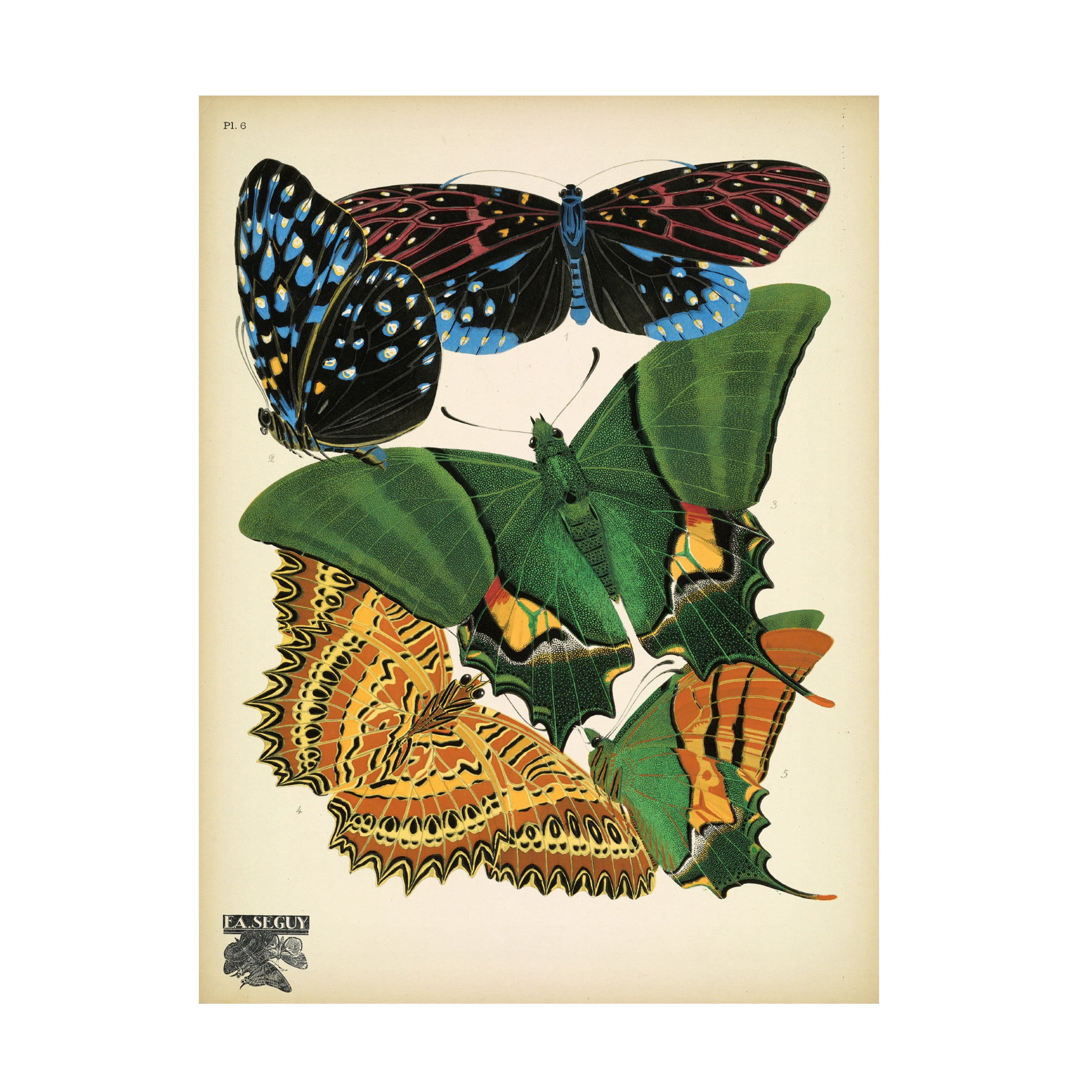 Vintage Apple Collection 'Papillons 6' Canvas Art