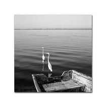 Moises Levy '2 Herons Leaving' Canvas Art