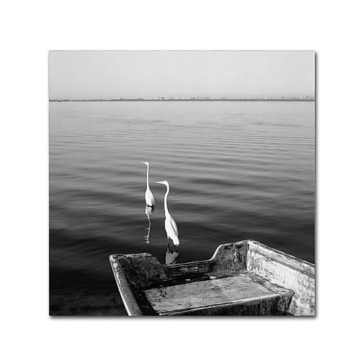 Moises Levy '2 Herons Leaving' Canvas Art