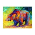 thumbnail image 1 of Marion Rose 'New Grizz' Canvas Art, 1 of 4