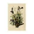 thumbnail image 1 of John James Audubon 'Mocking Birds and Snake II' Canvas Art, 1 of 4