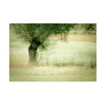 Nel Talen 'Willow' Canvas Art