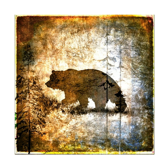 LightBoxJournal 'High Country Bear' Canvas Art