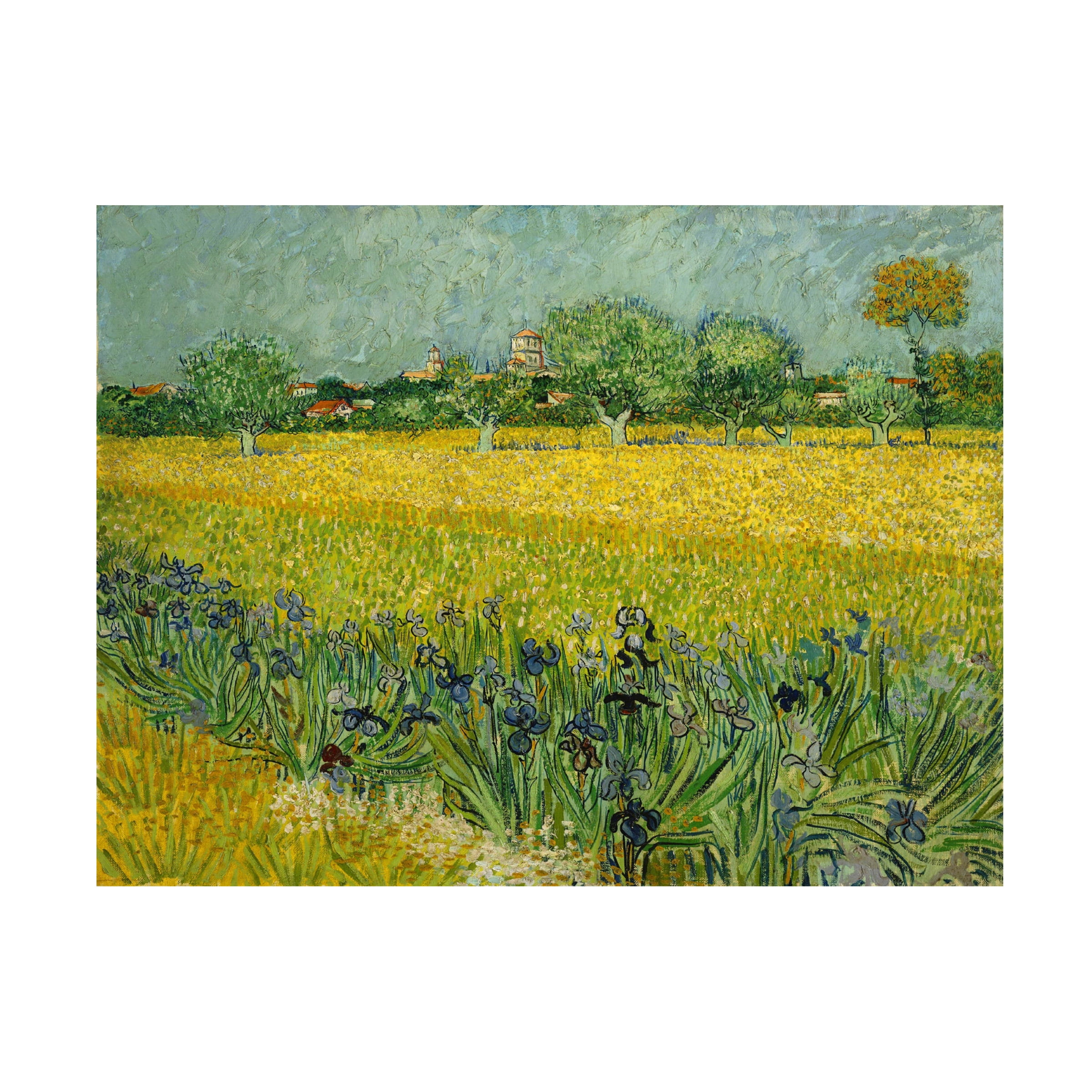Van Gogh 'Field With Flowers Near Arles' Canvas Art