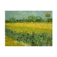 thumbnail image 1 of Van Gogh 'Field With Flowers Near Arles' Canvas Art, 1 of 4