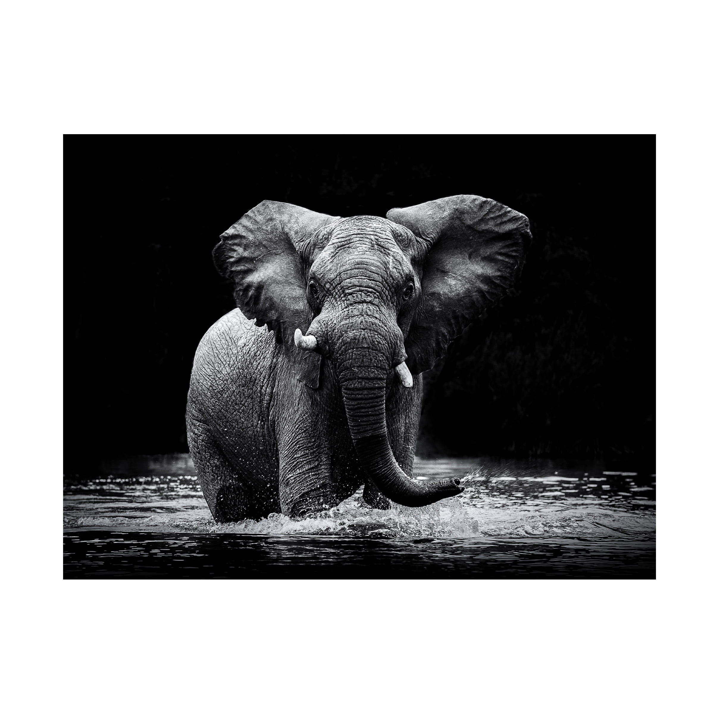 Gorazd Golob 'Power 1' Canvas Art