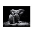 thumbnail image 1 of Gorazd Golob 'Power 1' Canvas Art, 1 of 4