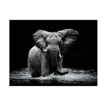 Gorazd Golob 'Power 1' Canvas Art