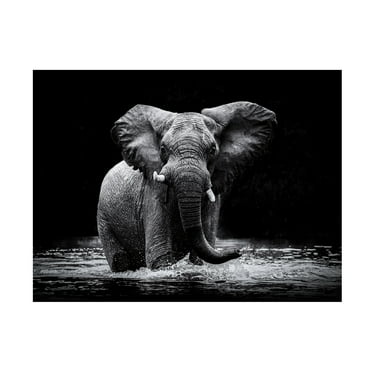 Gorazd Golob 'Power 1' Canvas Art