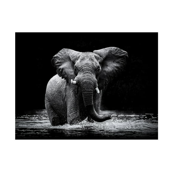 Gorazd Golob 'Power 1' Canvas Art