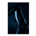 thumbnail image 1 of Erik Schottstaedt 'Blue Velvet' Canvas Art, 1 of 3