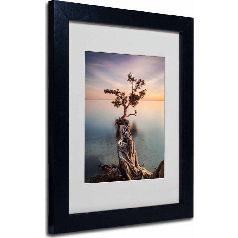 Matted art under acrylic in a black frame