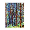 thumbnail image 1 of Trademark Fine Art Mandy Budan In A Pine Forest Canvas Wall Art - 35x47, 1 of 5