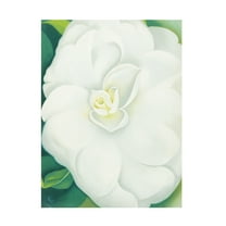 Trademark Fine Art Georgia O'Keefe White Camelia Canvas Wall Art - 14x19