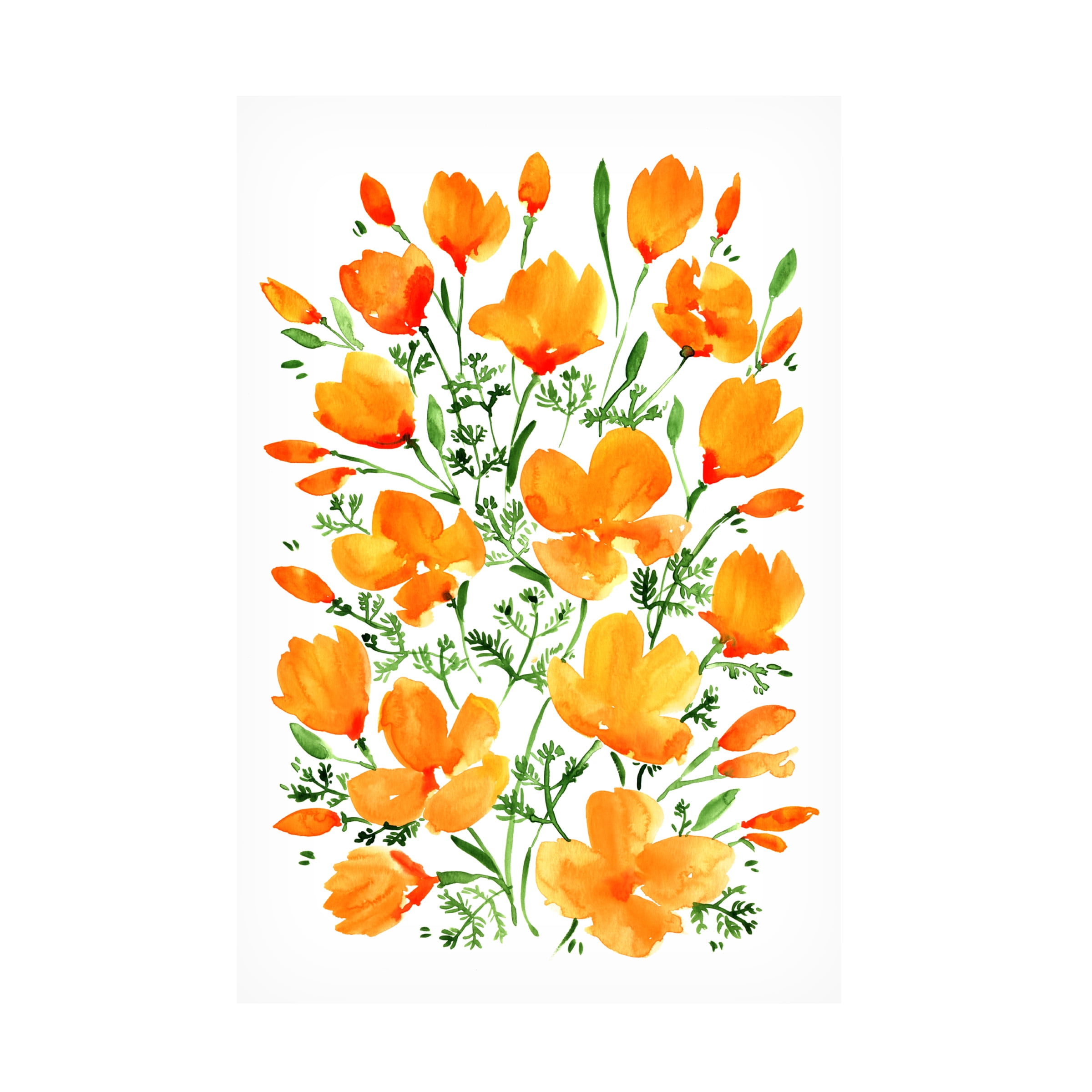Rosana Laiz Blursbyai 'Watercolor California poppies' Canvas Art