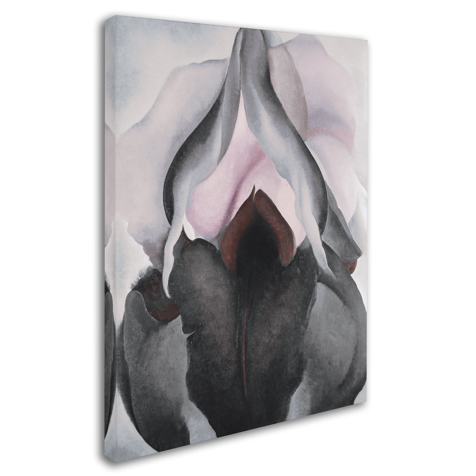 Black and Gray Floral Canvas Art, 24 x 32