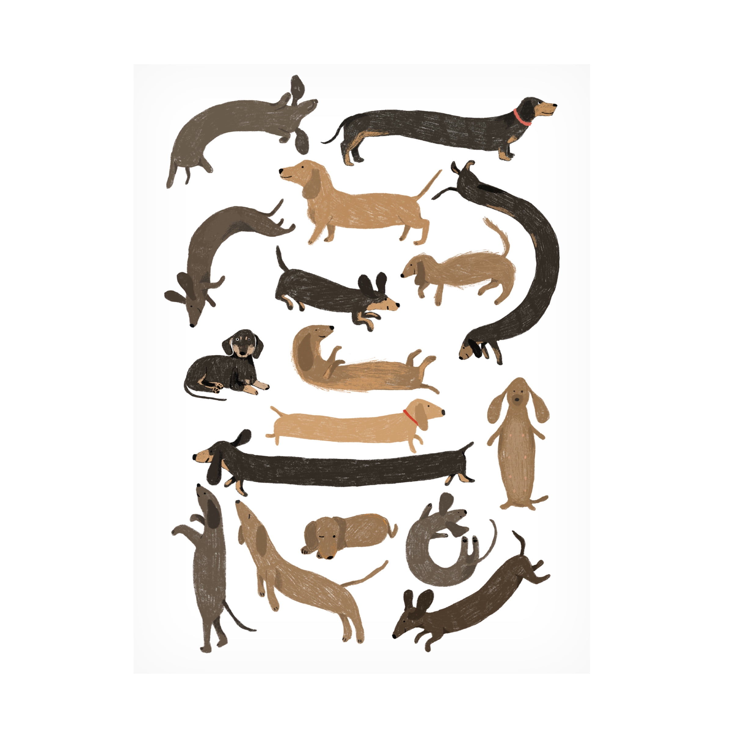 Hanna Melin 'Dachshund Print' Canvas Art
