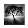 thumbnail image 1 of Trademark Fine Art Andy Westface Promise Canvas Wall Art - 24x24, 1 of 4