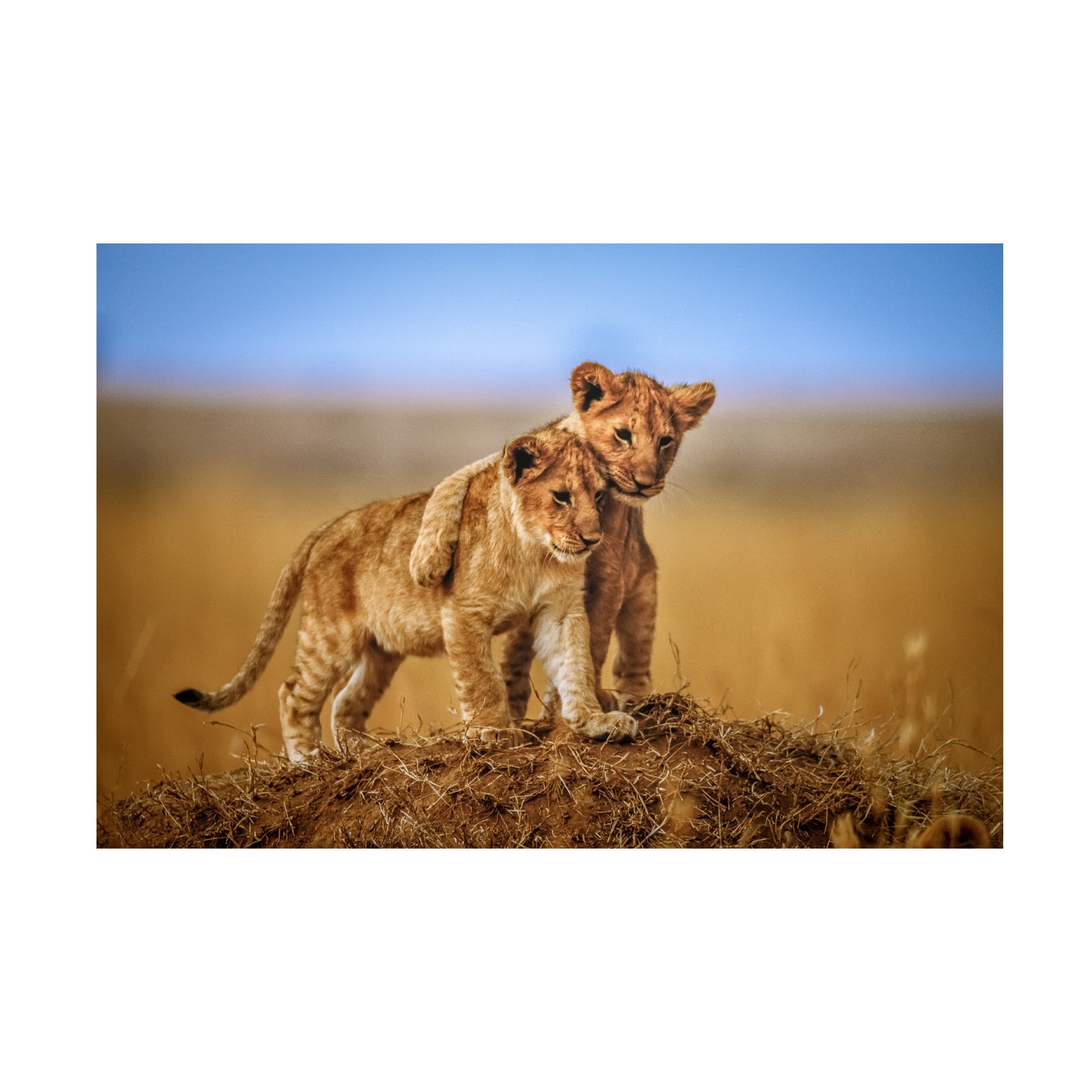 Jeffrey C. Sink 'Brothers For Life' Canvas Art