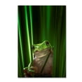 thumbnail image 1 of Ahmad Gafuri 'Green Frog' Canvas Art, 1 of 3