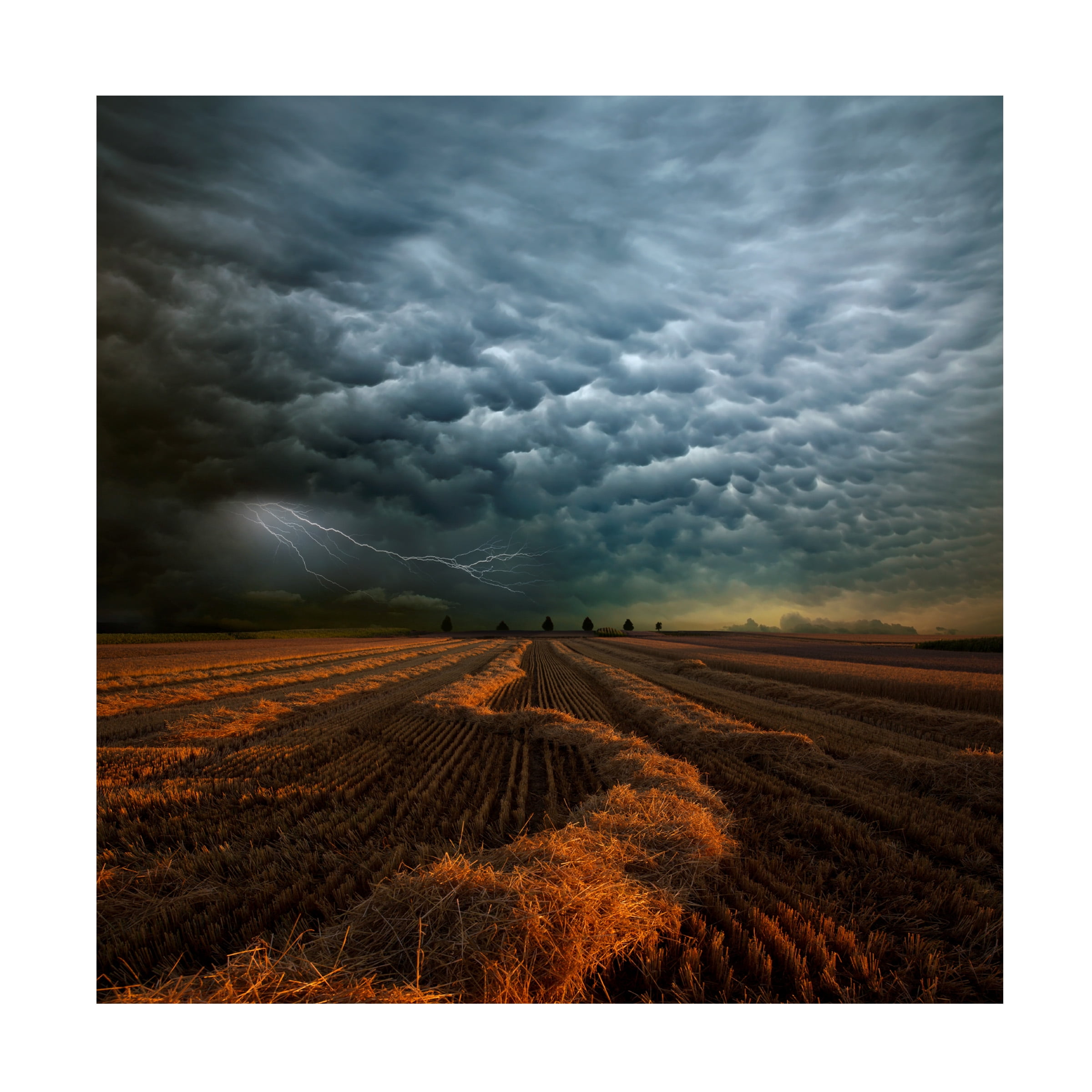 Franz Schumacher 'Mammatus' Canvas Art