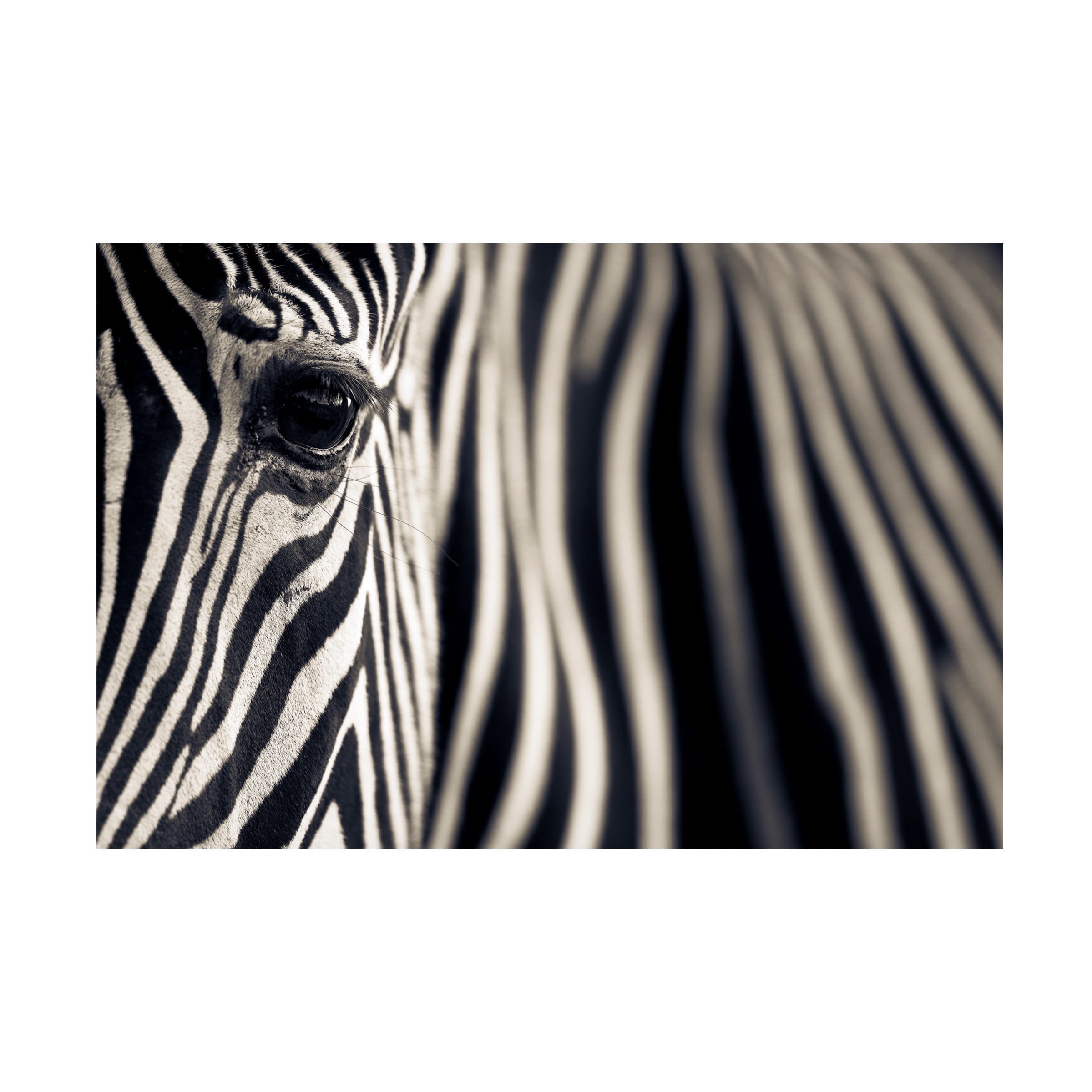 Mario Moreno 'Eye & Stripes' Canvas Art