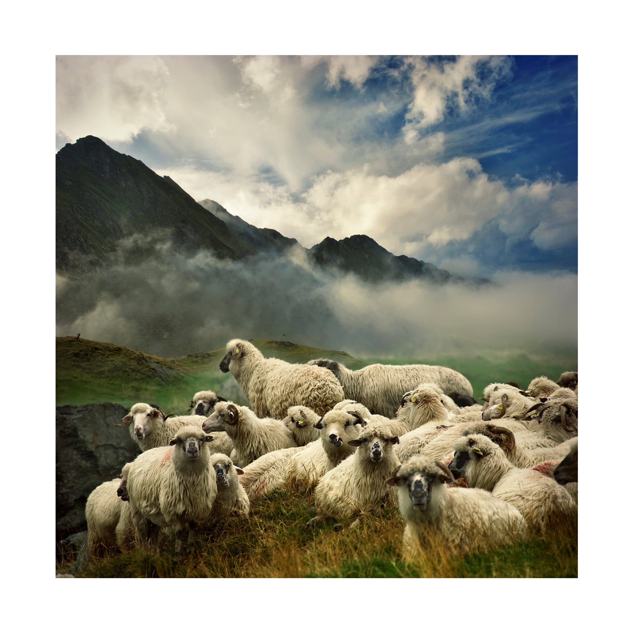 Istvan Kadar 'The Silence Of The Lambs' Canvas Art