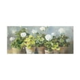 thumbnail image 1 of Danhui Nai 'White Geraniums V2' Canvas Art, 1 of 4
