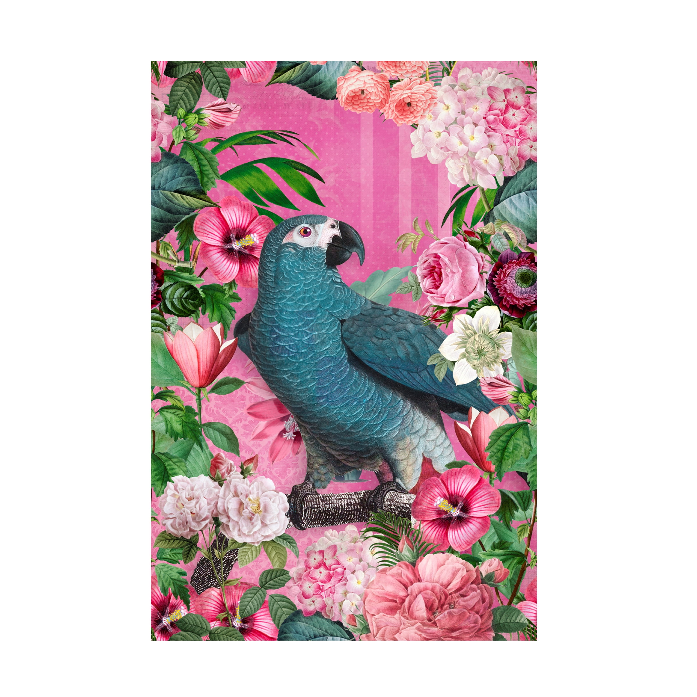 Andrea Haase 'The Parrots Paradise Garden 2' Canvas Art