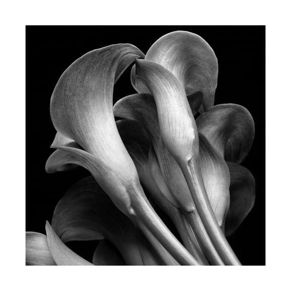 18x18 Canvas Ready to Hang