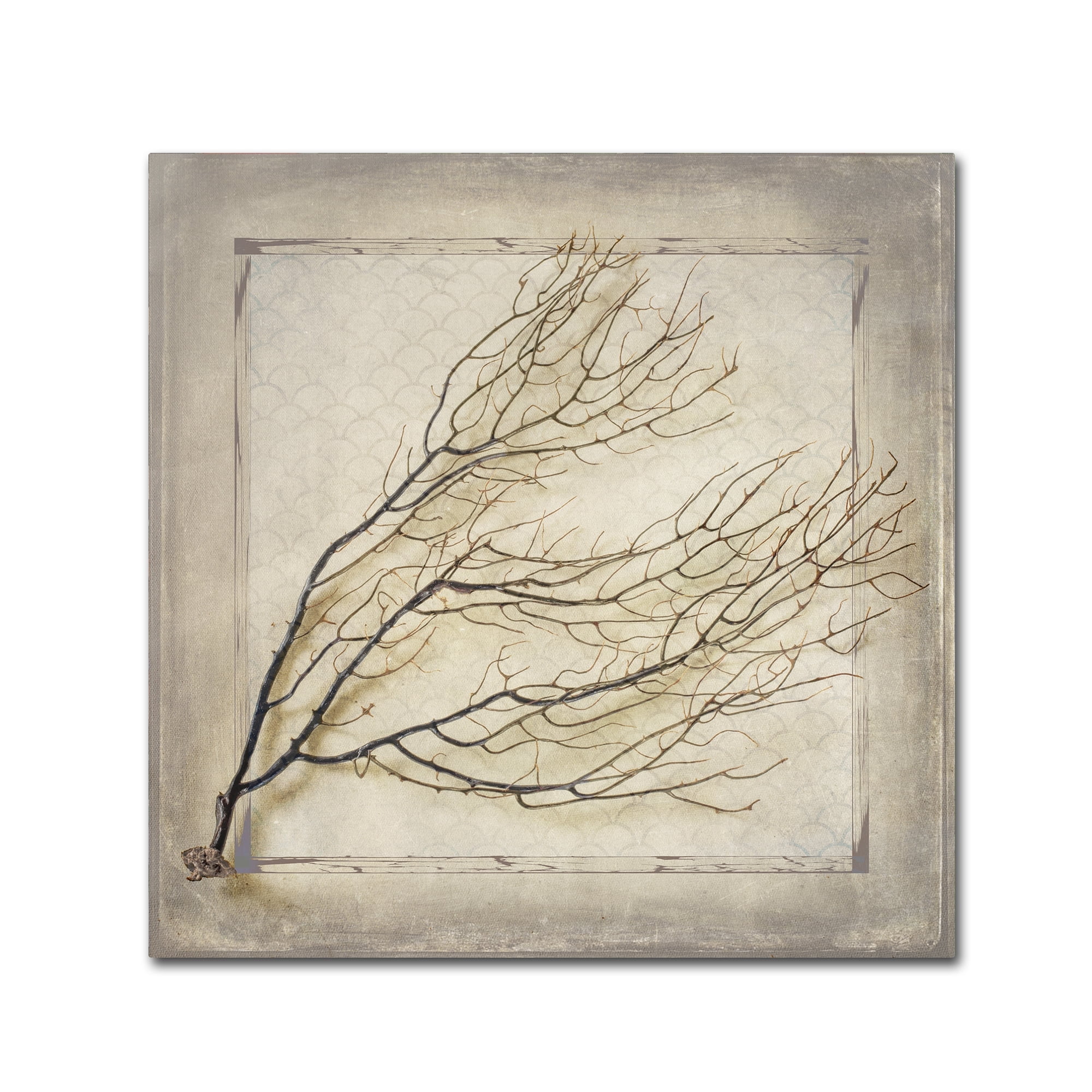 LightBoxJournal 'Starfish Sea Leaf' Canvas Art