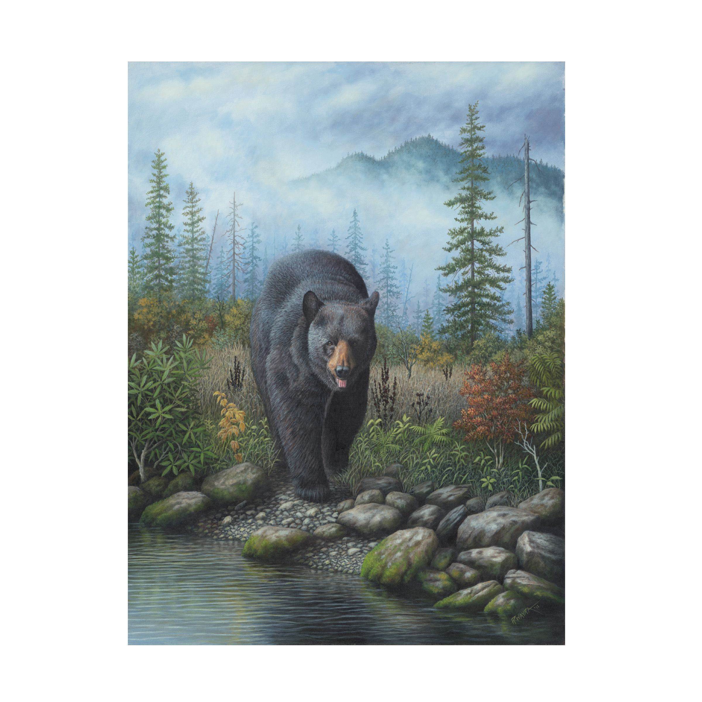 Robert Wavra 'Smoky Mountain Black Bear' Canvas Art