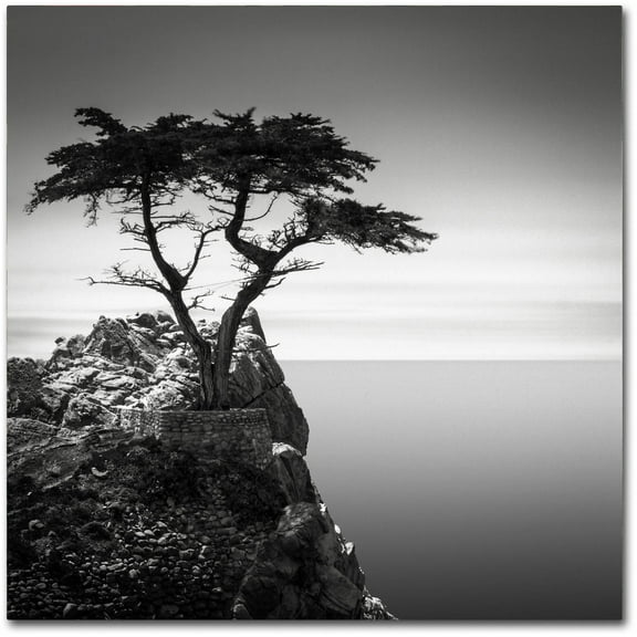 Trademark Fine Art Dave Macvicar The Lone Cypress Canvas Wall Art - 18x18