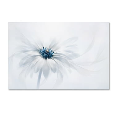 Jacky Parker 'Serenity' Canvas Art
