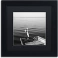 thumbnail image 1 of Moises Levy '2 Herons Leaving' Black Matted Framed Art, 1 of 1
