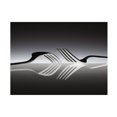 thumbnail image 1 of Wieteke De Kogel 'Opposites' Canvas Art, 1 of 4