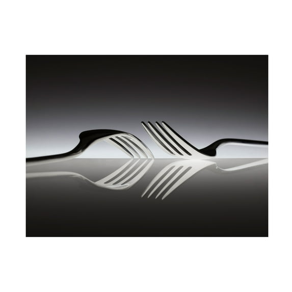 Wieteke De Kogel 'Opposites' Canvas Art