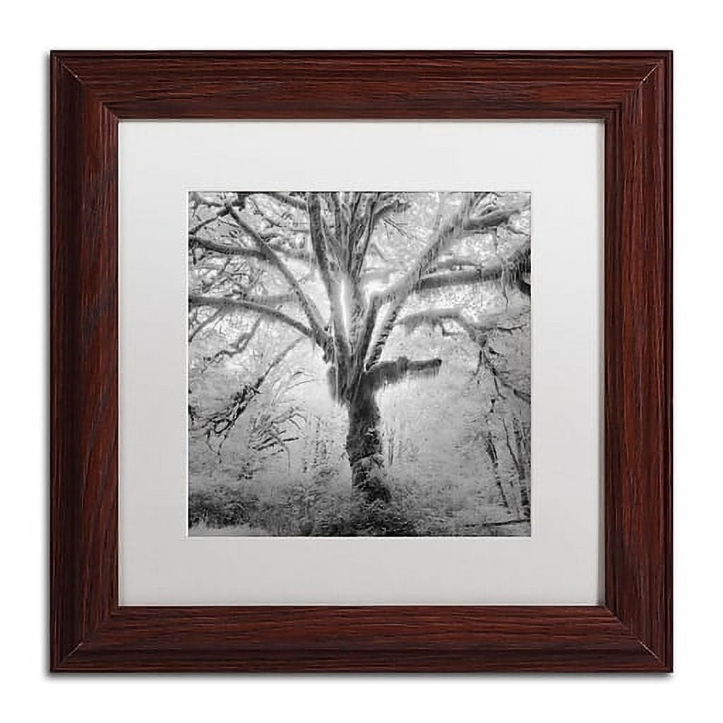 Moises Levy 'Lightning Tree II' Matted Framed Art