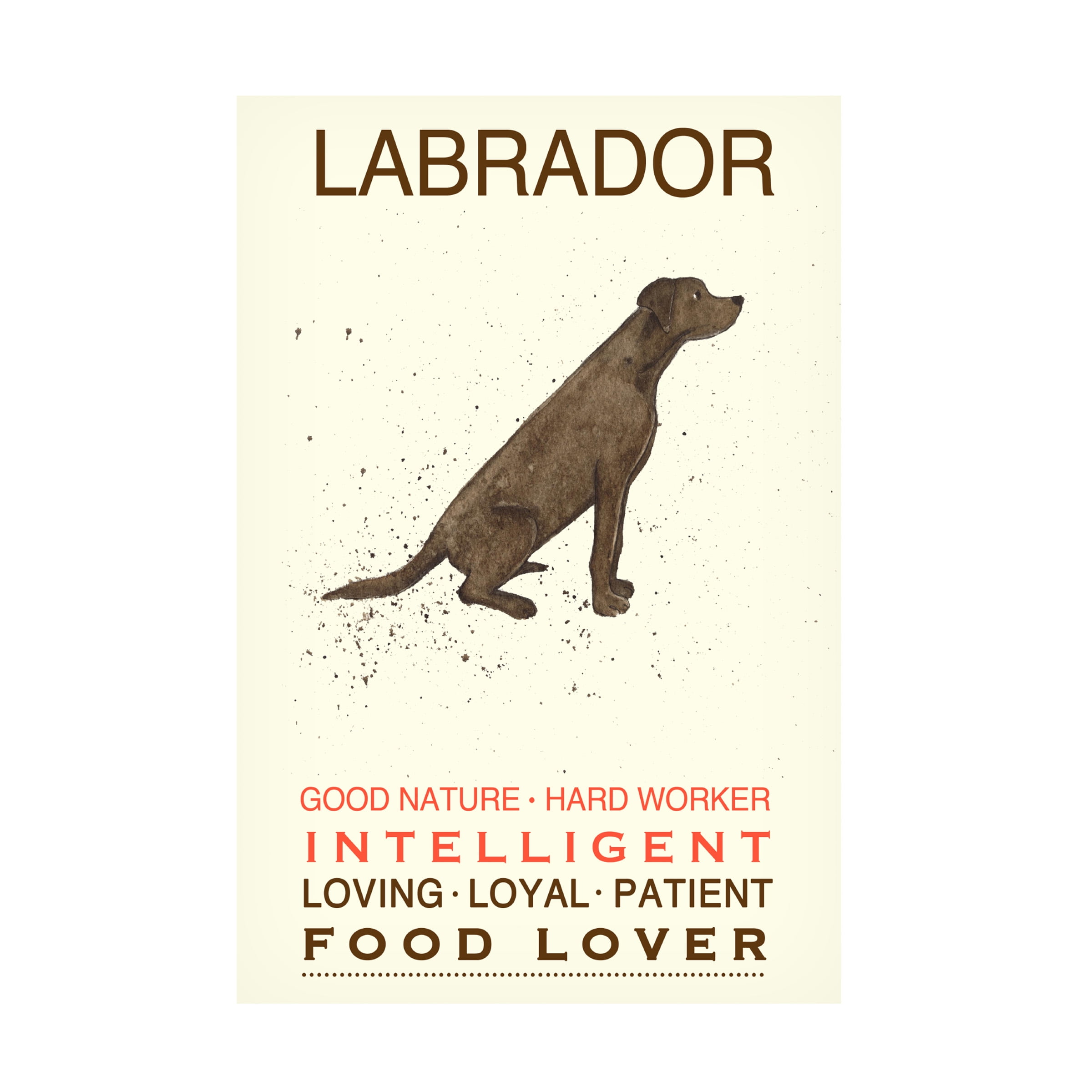 Michelle Campbell 'Labrador Print' Canvas Art