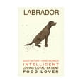 thumbnail image 1 of Michelle Campbell 'Labrador Print' Canvas Art, 1 of 4