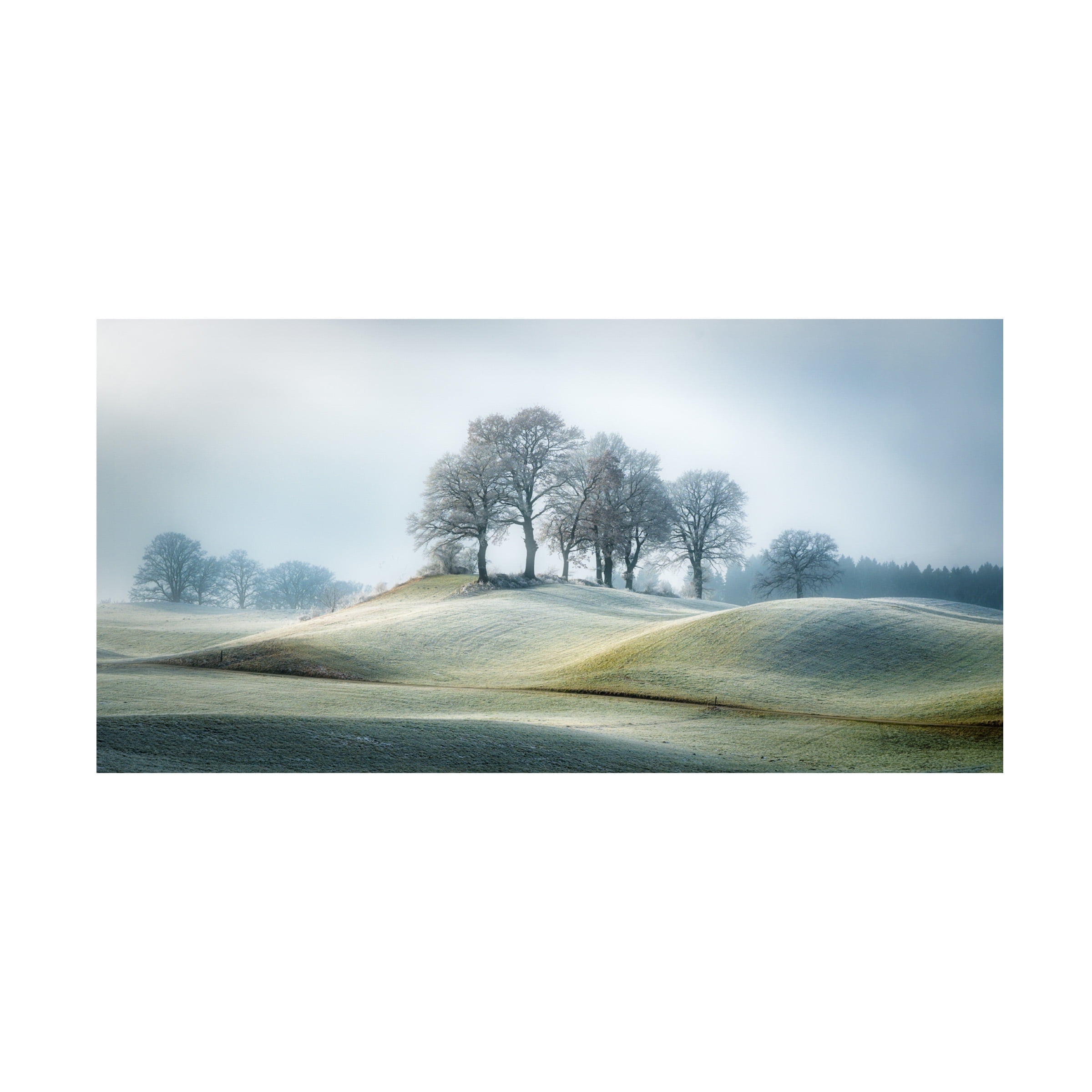 Ulrike Eisenmann 'It Is Not In Tuscany' Canvas Art