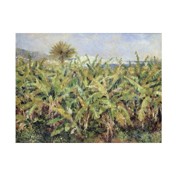 Renoir 'Field Of Banana Trees' Canvas Art