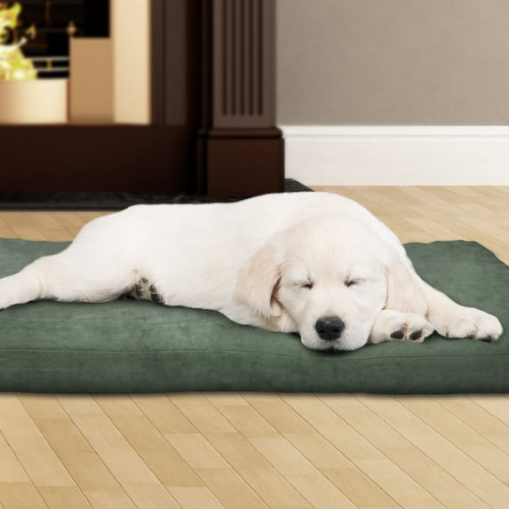 Dog Bed 3 inch Foam Pet Bed-27x36 inches-Forest