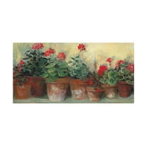 Trademark Fine Art Carol Rowan Kathleens Geraniums Canvas Wall Art - 16x32