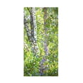 thumbnail image 1 of Mandy Budan 'Hide And Seek' Canvas Art, 1 of 4