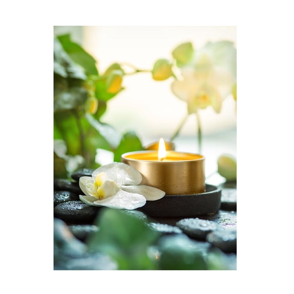 Johanna 'Zen Orchid And Candle' Canvas Art