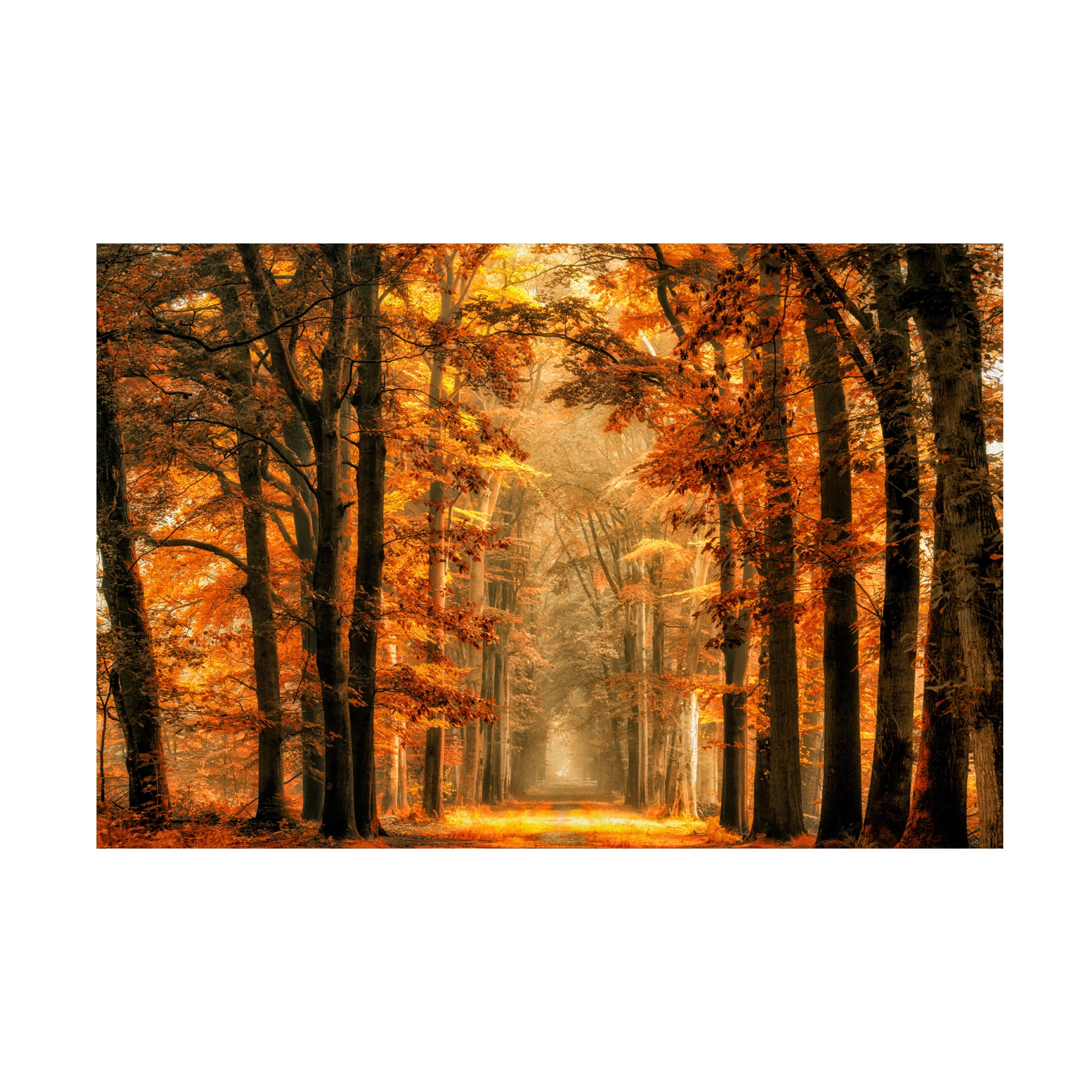 Lars van de 'Exit The Portal' Canvas Art