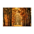 thumbnail image 1 of Lars van de 'Exit The Portal' Canvas Art, 1 of 4